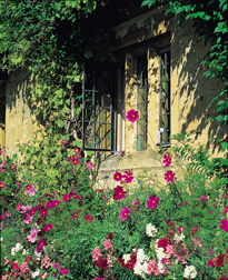 A typical Cotswold scene